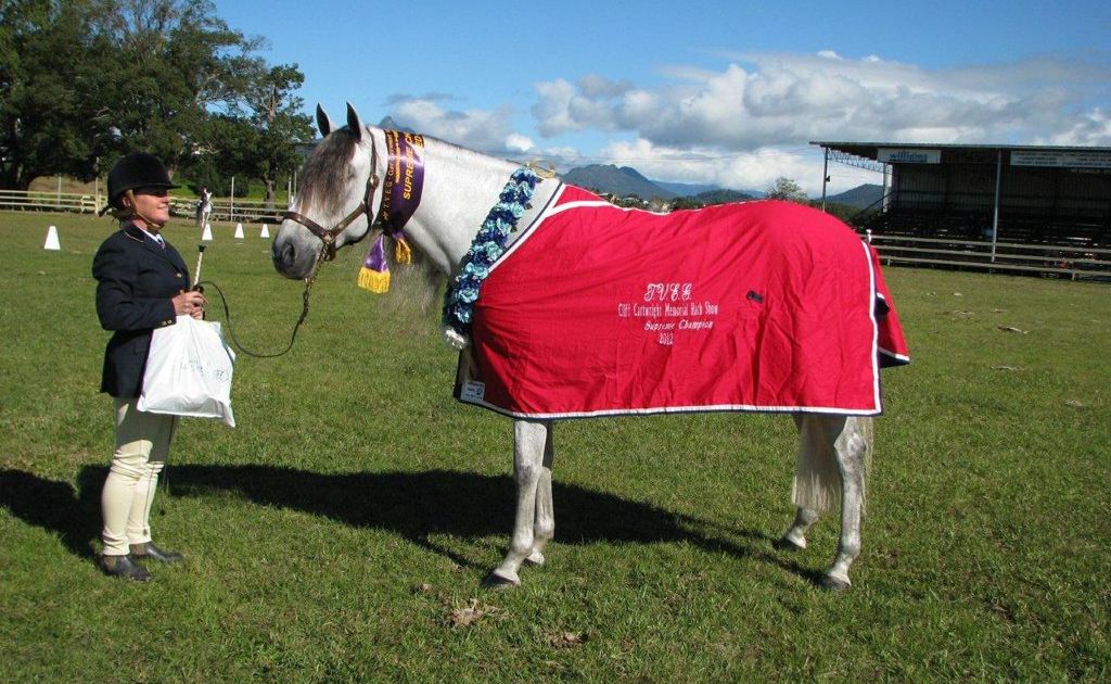 Supreme Champion Led winner Omaru Comeroso with owner Amanda Bartyn from Dulguigan. Supreme Champion Led winner Omaru Comeroso with owner Amanda Bartyn from Dulguigan.